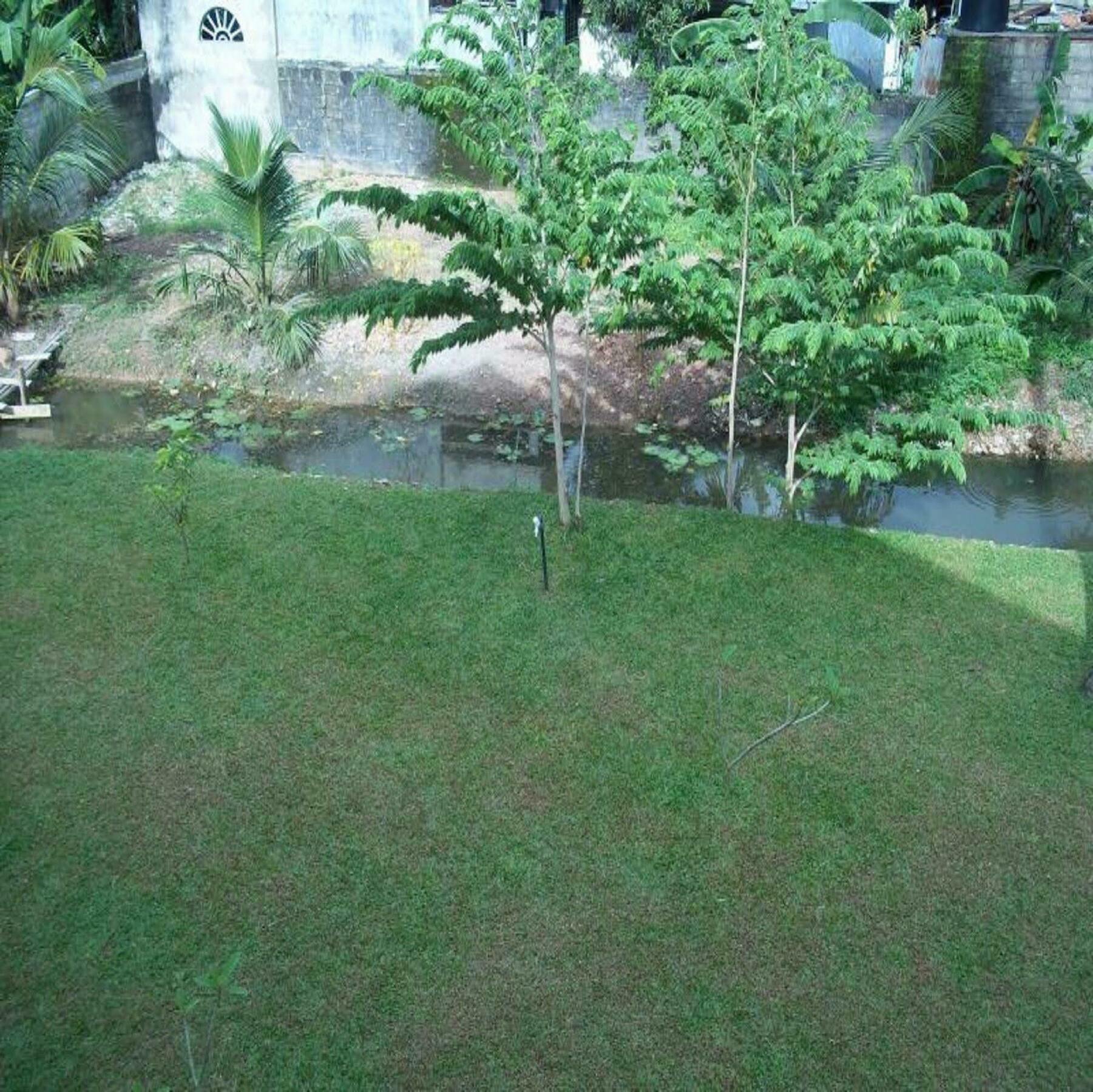 Sunrise Palace Negombo Exterior foto